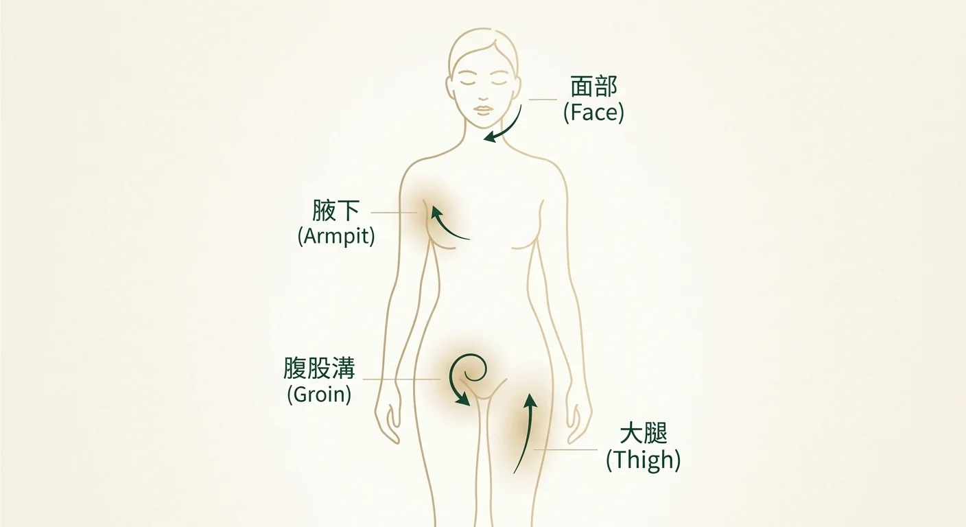 腋下與鼠蹊淋巴按摩主視覺，人體正面柔色剪影，標示腋下、鼠蹊、大腿、臉部四個按摩區塊，每區配一個輕柔方向箭頭與小標籤，配色淡金米色與墨綠線稿，高端優雅