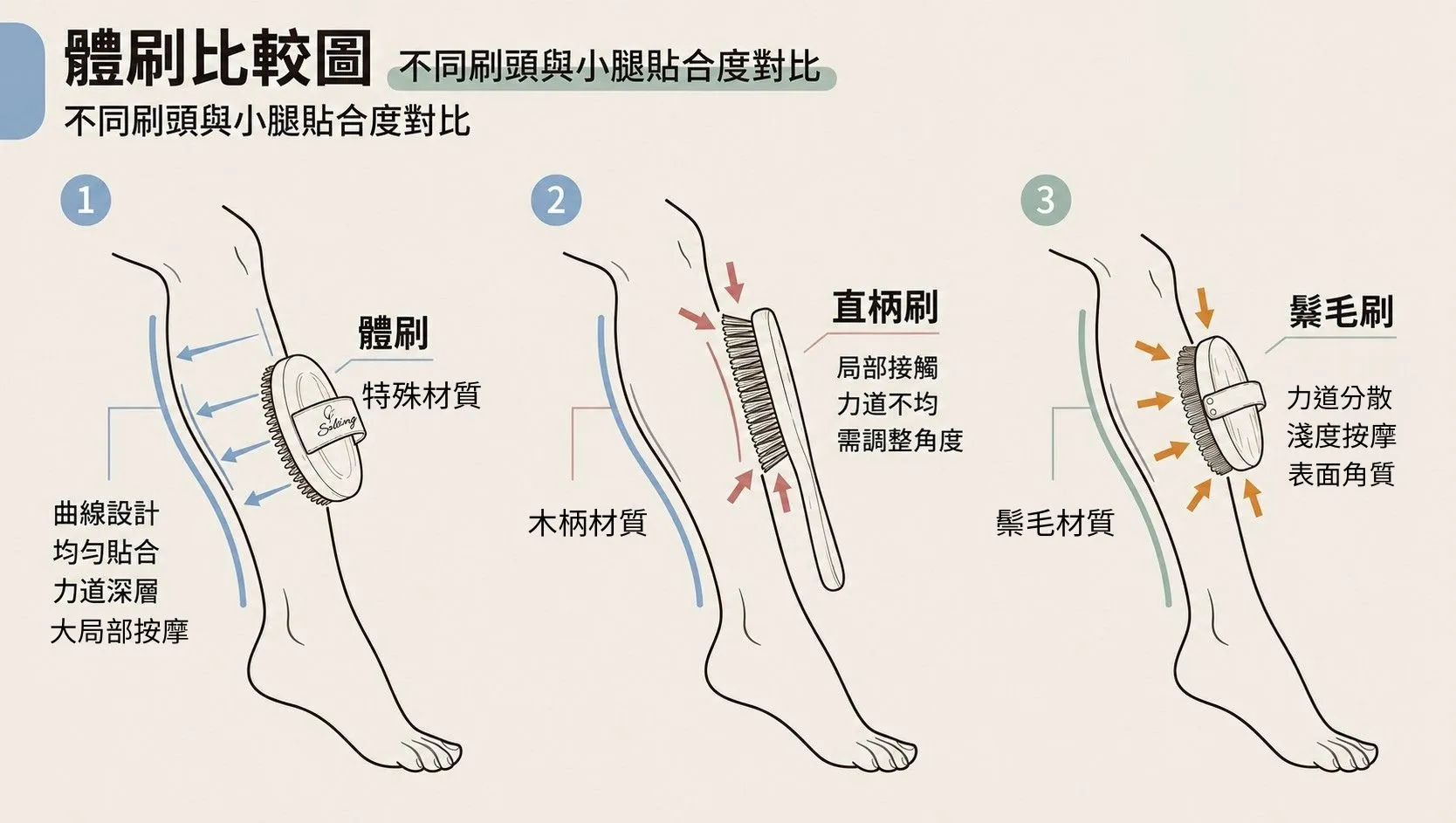 蠍尾體刷與傳統木柄刷、鬃毛刷貼合度比較圖