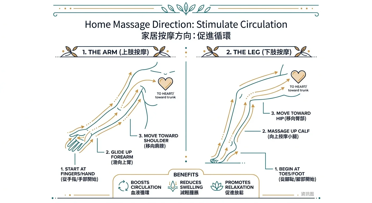 居家經絡按摩方向示意圖,人體手臂與腿部線條圖,箭頭由末梢往心臟方向,標示「由末梢往心臟」「順循環」,簡約資訊圖風格,溫暖品牌色